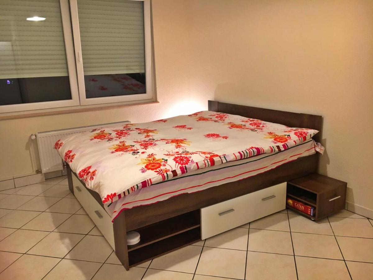 Cozy Studio Apart - King Bed - Netflix - Projector - Fast Wi-Fi لوكسمبورغ المظهر الخارجي الصورة