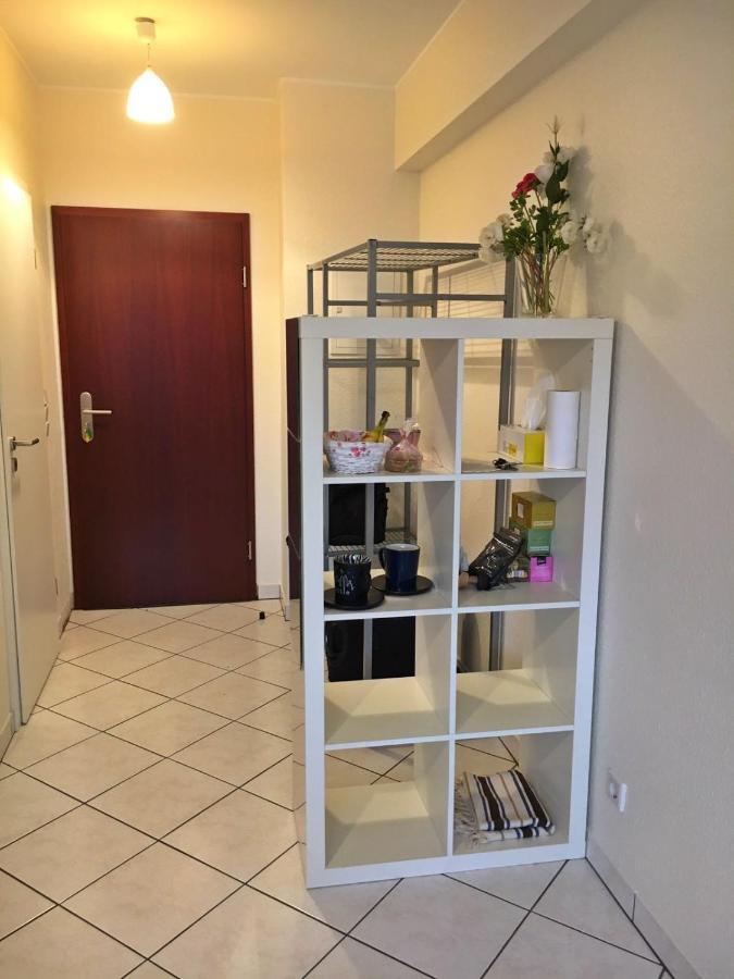 Cozy Studio Apart - King Bed - Netflix - Projector - Fast Wi-Fi لوكسمبورغ المظهر الخارجي الصورة